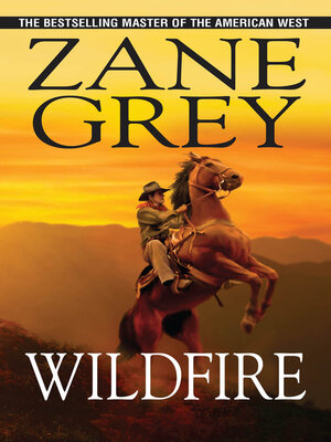 Wildfire - ebook